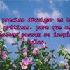 É preciso divulgar as boas práticas. para que as pessoas possam se inspirar nelas.