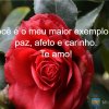 Você é o meu maior exemplo de paz, afeto e carinho.
Te amo!