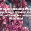 Feliz dia dos pais para a pessoa que sempre esteve ao meu lado, me amando e cuidando: Minha Mãe!