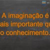 A imaginação é mais importante que o conhecimento.