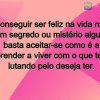 Conseguir ser feliz na vida não tem segredo ou mistério algum; basta aceitar-se como é e aprender a viver com o que tem, lutando pelo deseja ter.